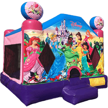 Princess Bounce House Rental